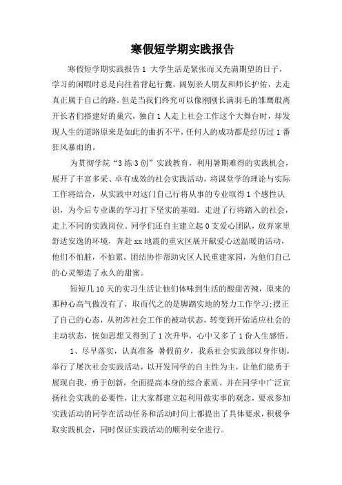 寒假短学期实践报告