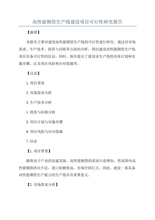 高性能铜箔生产线建设项目可行性研究报告