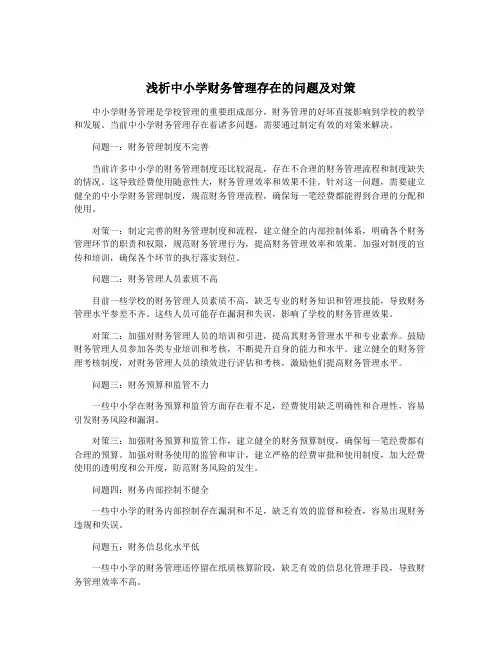 浅析中小学财务管理存在的问题及对策