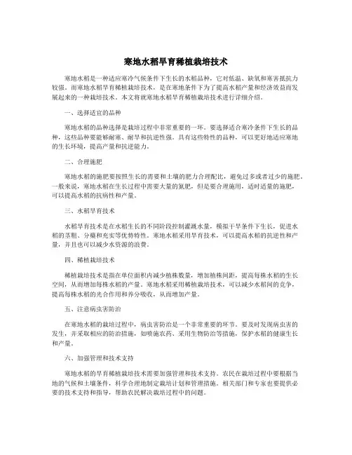 寒地水稻旱育稀植栽培技术