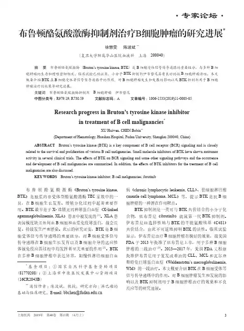布鲁顿酪氨酸激酶抑制剂治疗B细胞肿瘤的研究进展