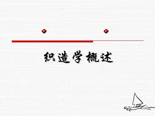织造工艺过程ppt课件