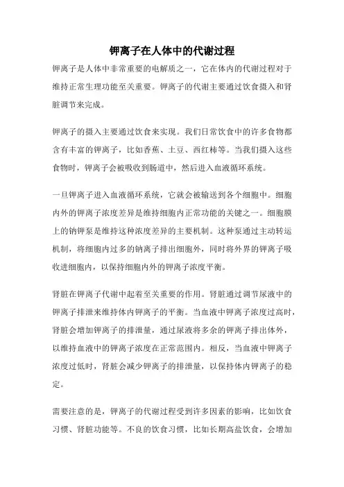 钾离子在人体中的代谢过程