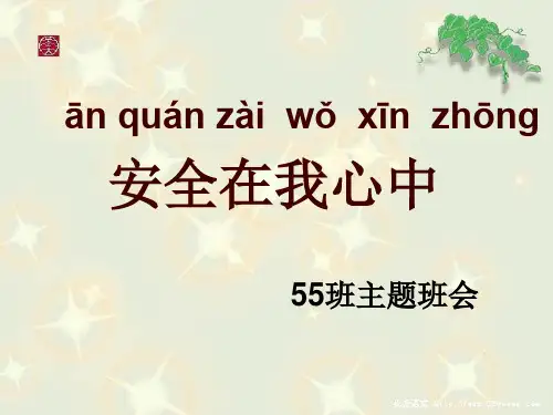 1《安全在我心中》主题班会ppt.ppt