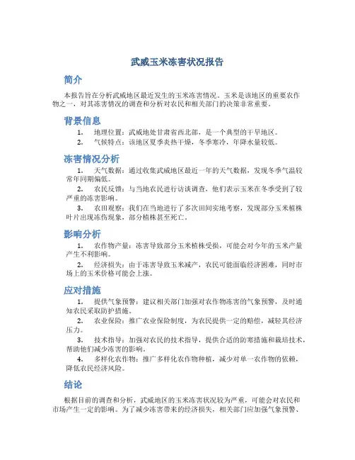 武威玉米冻害状况报告