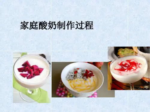 家庭酸奶制作过程详解