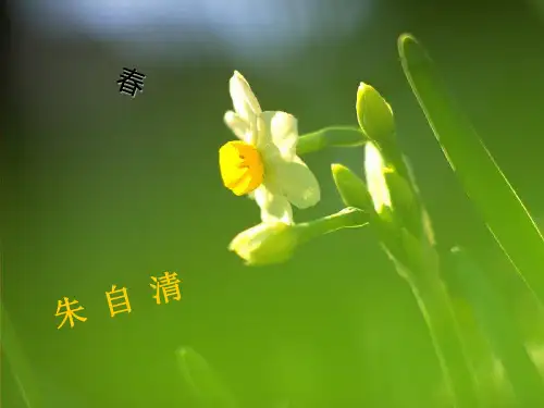 新人教版七年级语文 上册 课件 第11课《春》(共52张PPT)