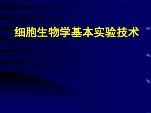 细胞生物学基本实验技术(139页)