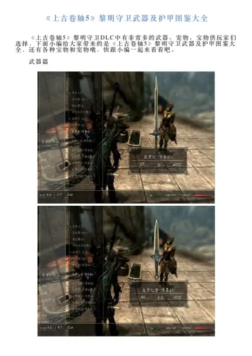 《上古卷轴5》黎明守卫武器及护甲图鉴大全