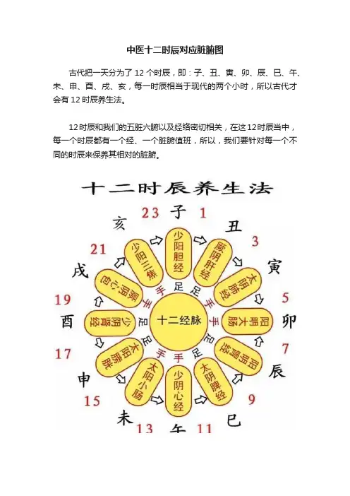 中医十二时辰对应脏腑图