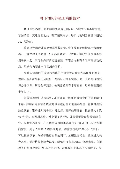 林下如何养殖土鸡的技术