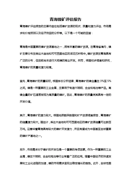 青海镍矿评估报告