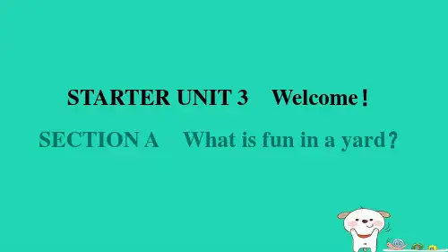 山西省2024七年级英语上册StarterUnit3课件新版人教新目标版
