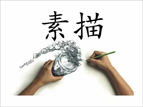 高中美术人美版 必修 美术绘画 4单纯丰富 造型基础 素描 课件  (共18张PPT)