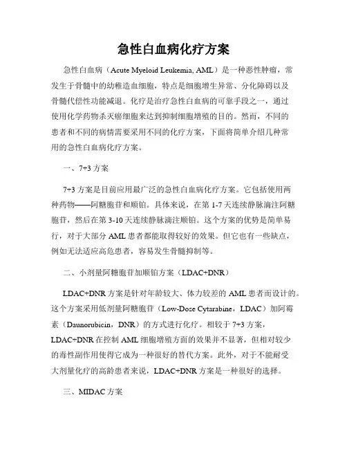 急性白血病化疗方案