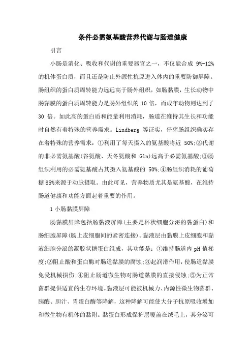 条件必需氨基酸营养代谢与肠道健康