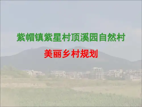 规划设计--晋江市紫帽镇顶溪园美丽乡村规划设计方案