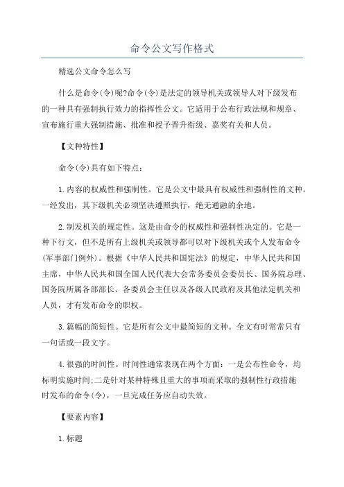 命令公文写作格式