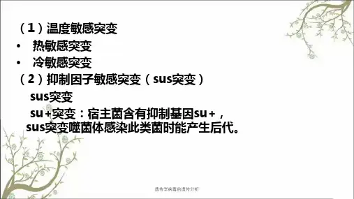 遗传学病毒的遗传分析