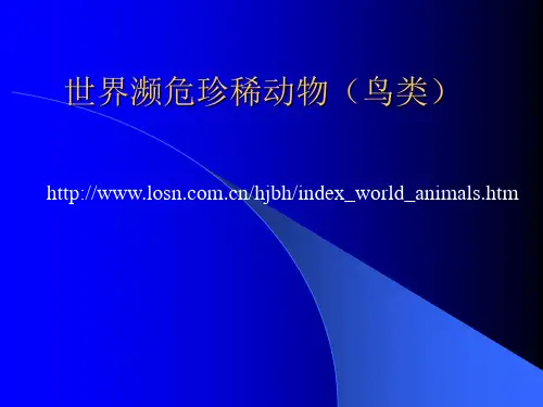 世界濒危珍稀动物 鸟类