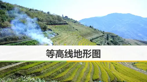 2022届高考地理一轮复习 课件 等高线 