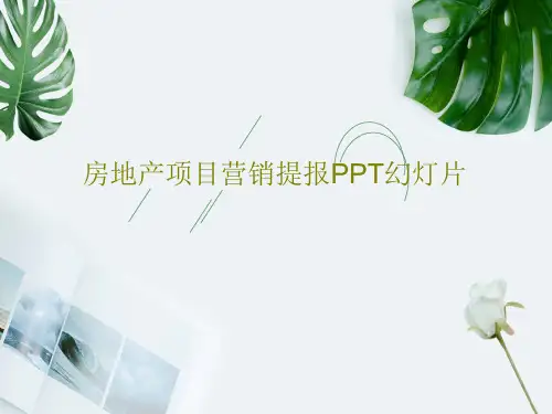 房地产项目营销提报PPT幻灯片PPT共60页