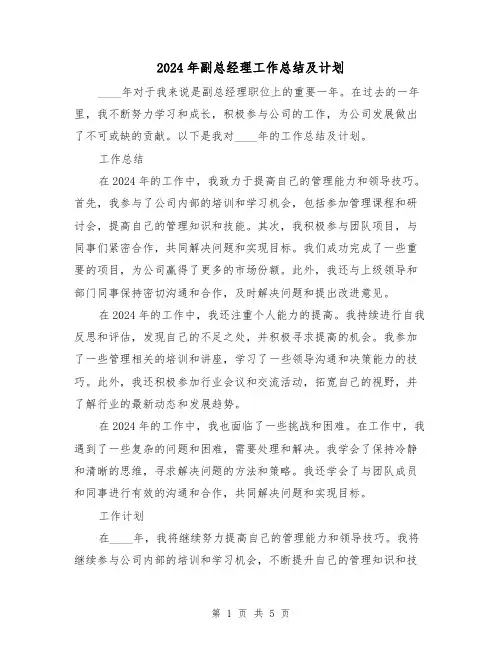 2024年副总经理工作总结及计划(2篇)