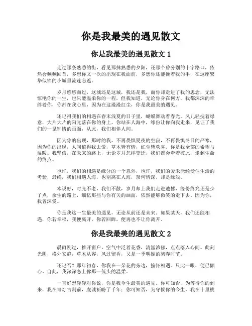 你是我最美的遇见散文