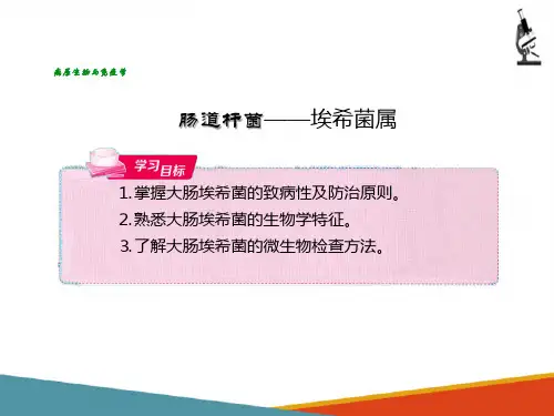 医学微生物—常见病原性细菌(肠道杆菌)