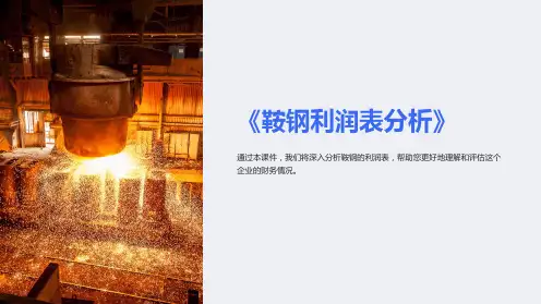 《鞍钢利润表分析》课件