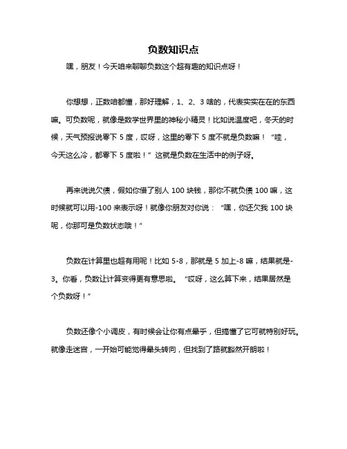 负数知识点