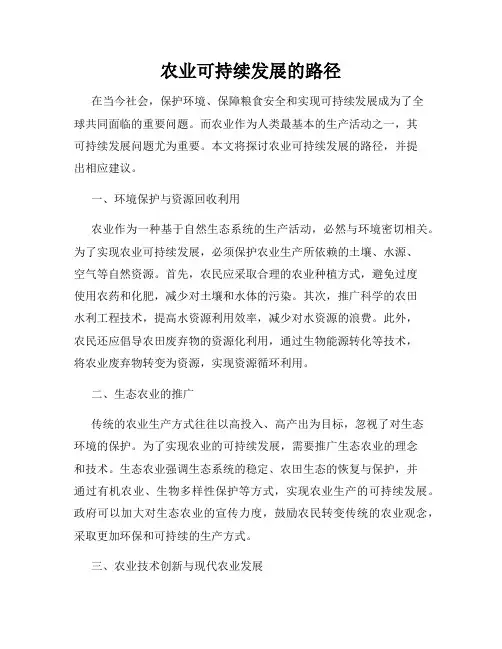 农业可持续发展的路径