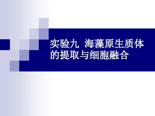 原生质体融合
