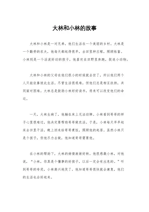大林和小林的故事