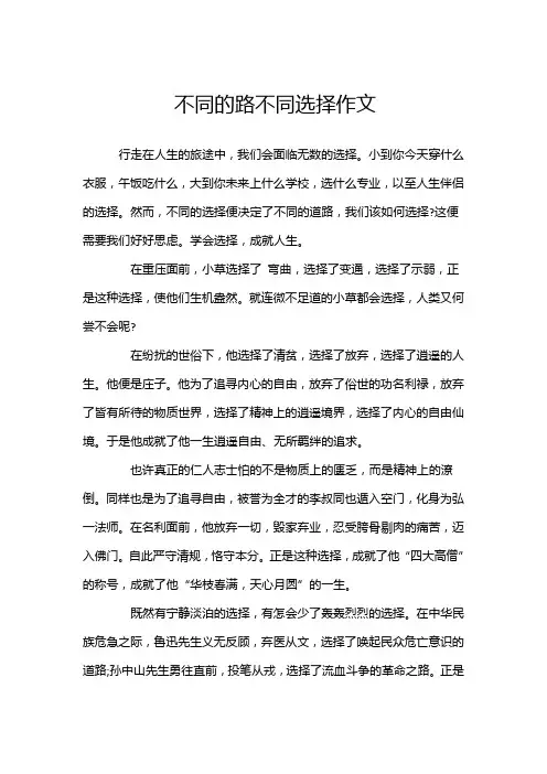 不同的路不同选择作文