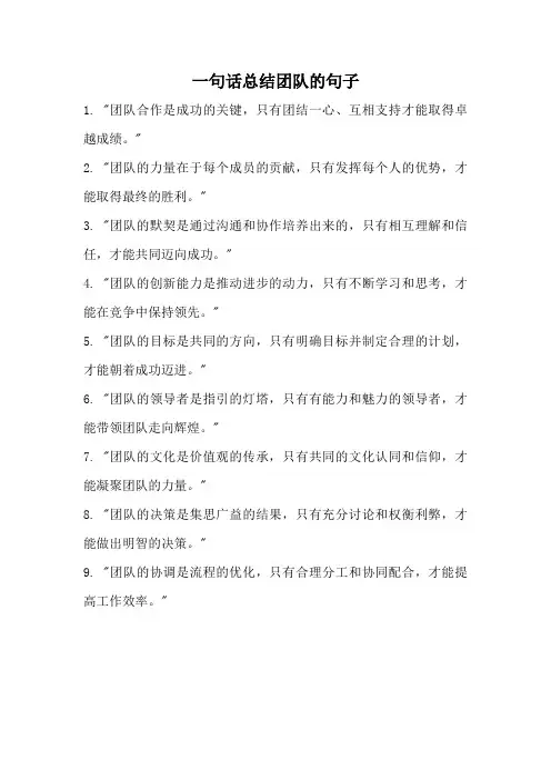 一句话总结团队的句子