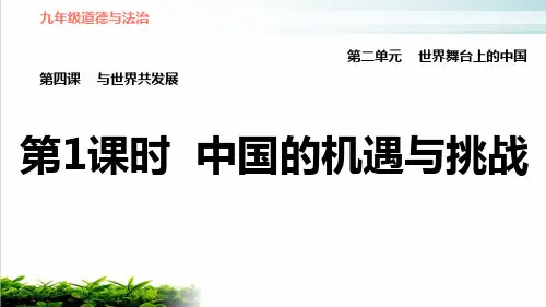 《中国的机遇与挑战》PPT精品课件_部编版PPT
