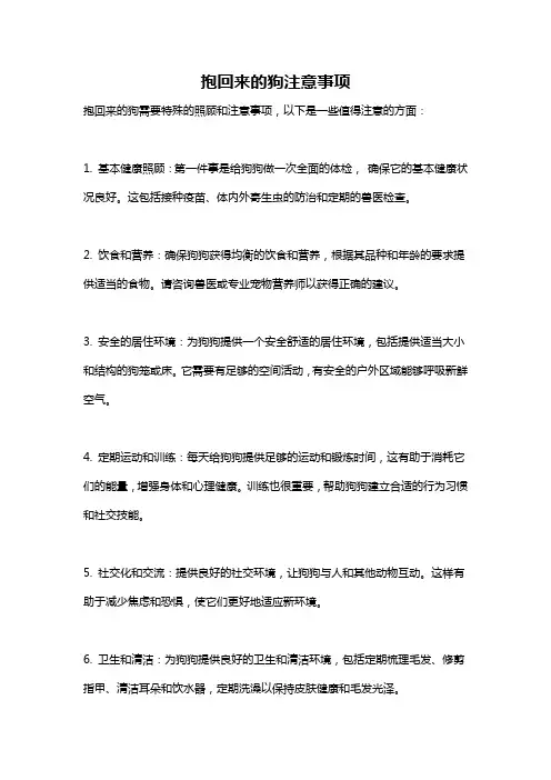 抱回来的狗注意事项