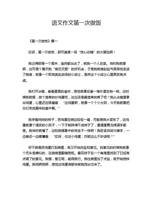 语文作文第一次做饭