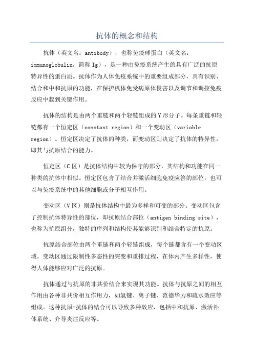 抗体的概念和结构