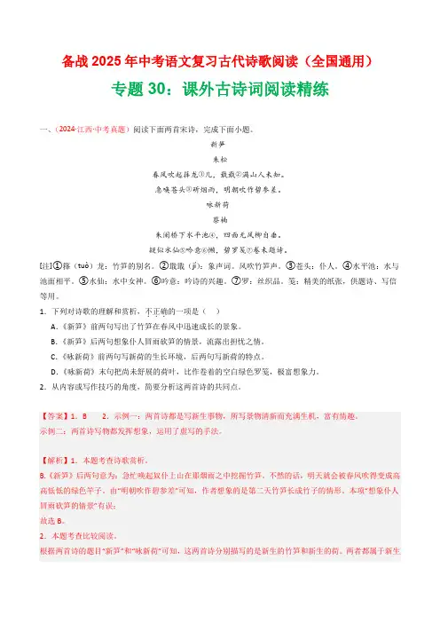 专题30：课外古诗词阅读精练-2025年中考语文复习古代诗歌阅读(全国通用)(教师版)