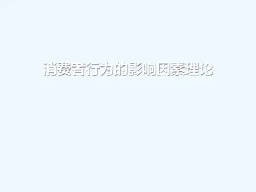 消费者行为的影响因素理论