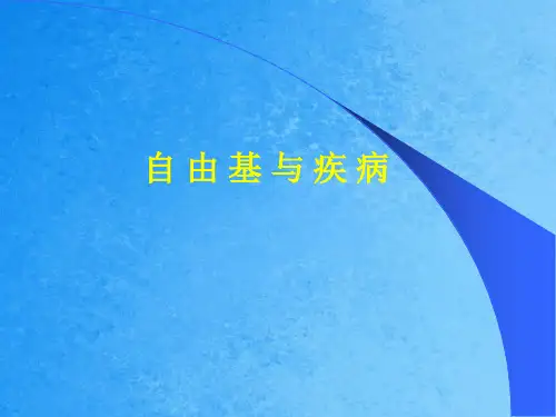 自由基与疾病ppt课件
