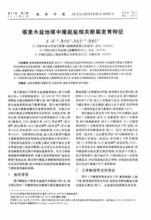 塔里木盆地塔中隆起盐相关断裂发育特征
