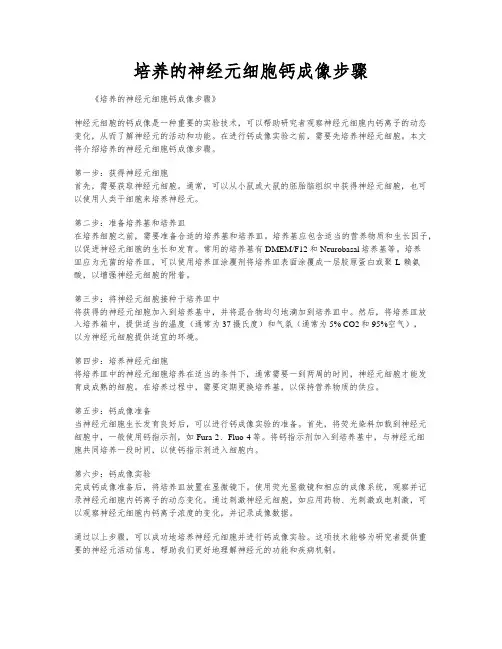 培养的神经元细胞钙成像步骤