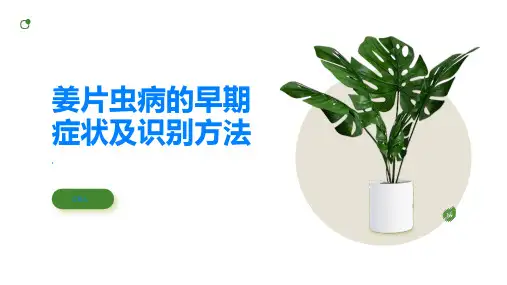 姜片虫病的早期症状及识别方法