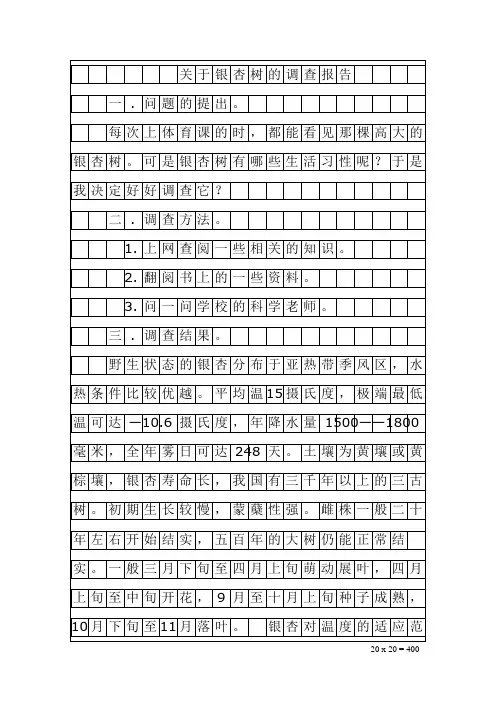 关于银杏树的调查报告