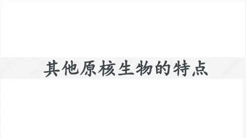 其他原核生物的特点
