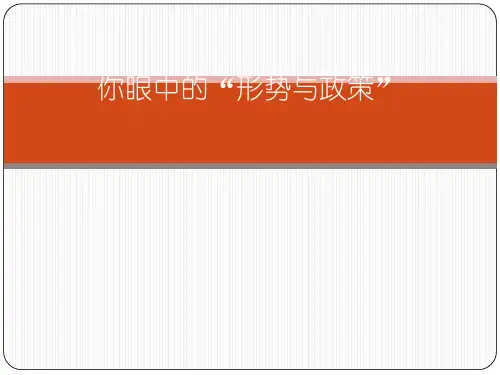 形势与政策十大问题
