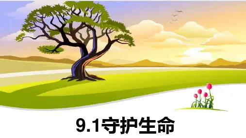 9.1守护生命课件部编版道德与法治七年级上册